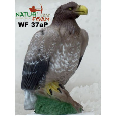 Natur Foam EAGLE